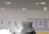 인스타 남미새 조카 애잔함