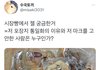 시장빵에서 젤 궁금한 거