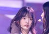 하니랑 윈터
