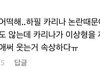카리나 진심 데뷔초때