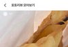 에이블리 ㅈㄴ군침도네