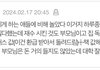 톡선 중경외시 개주작임