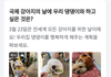 세계 강아지의 날도 있나봐요? ㅋㅋ