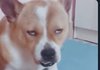 나 궁금한게 생겻음 너네 본진이