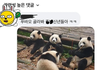 너무 웃어서 눈물이 난다 ㅋㅋㅋㅋㅋ