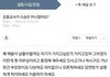 이런 글 쓰시는 분 정신과 치료 받아야할텐데요