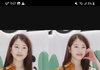 장다아도 보면 개마른거같은데