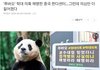 푸바오 학대 받고 있는 것 같아..
