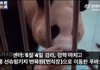 검역 한달만에 누더기된 푸바오