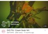 엑소 첸백시 사건 때문에 유튜브 찾아보는데