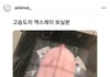 에스파 카리나가 좋아요 누른 인스타글
