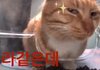 성인인데 화장 한번도 안 해봤는데