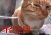 근데 눈치랑 별개로 사람 쎄한거 감지 촉은