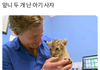 앞니 두 개 난 아기사자