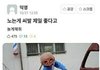 편알하는데 너네가 보기에도 얘네 미자같음?