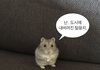 얼마나 예쁜지 아는 법