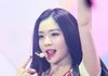 아이린 개이쁨
