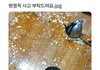 장원영도 쉴드 못칠 원영적 사고