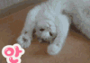 보고싶다
