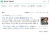 아프리카 큰손의 최후