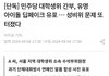 민주당 대학생위 간부, 유명 아이돌 딥페이크 유포