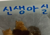 중랑구 내에 있는"고양이쉼터나 안락사없는보호소" 에서 입양 받으시거나, 위탁입양 보내신분을 찾습니다.