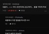 뉴진스 세종~~~~~거리더니 통수 맞았네