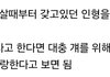 야 씨... 이거 ㅈㄴ 좋은데