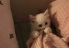 다들 잘자 ~ ㅎ