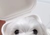 이세상엔