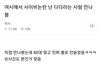 실베 여시 사이비 스승 만난 사람 증언
