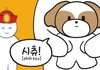 귀여워