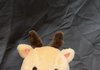 얘랑 노는중