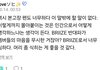 한국 브리즈들, 케이팝 팬들 진심 미개하다