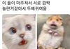 얘들아 이거 남자애가 나한테 끼부린거 맞지...?