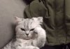 J야