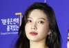레드벨벳 조이 사실상 탈퇴확정이네