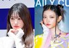 "본업 집중" 아이브 장원영→뉴진스 해린, 수능 포기한 걸그룹 멤버들 [Oh!쎈 이슈]