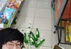 룸메랑 싸워도 될까?