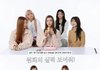 아일릿, 레드벨벳 슬기에 사랑 고백 "챌린지 찍어주고 연락처도 교환했으면"('보그')