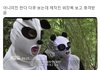 엄마가 채팅앱 하는것같은데