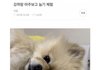 자기얼굴이 한소희 외국인이라고