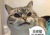 튀지마
