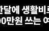 생활비 최소 2~300 쓰는게 정상인가요?
