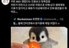 트위터 이런거 ㅈㄴ싫음