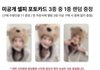 제니 오늘 뜬 포카 개귀여움