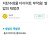 여자들이 살 못빼는 근본적 이유  나옴