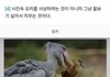 고깃집 알바 첫날 후기
