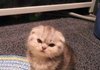 꽃밭으로