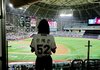 신예은 야구장 왔네 ㅋㅋ
